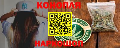 спиды Новодвинск
