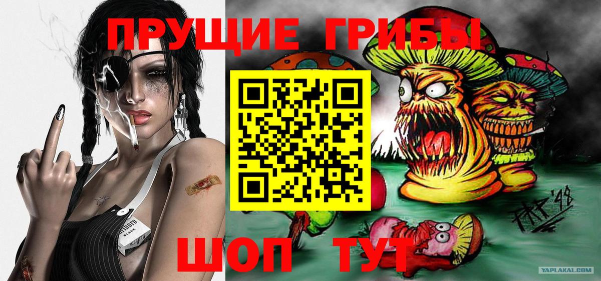 Галлюциногенные грибы Cubensis  Псилоцибиновые грибы ЛСД  Волгоград  Вход с VPN 