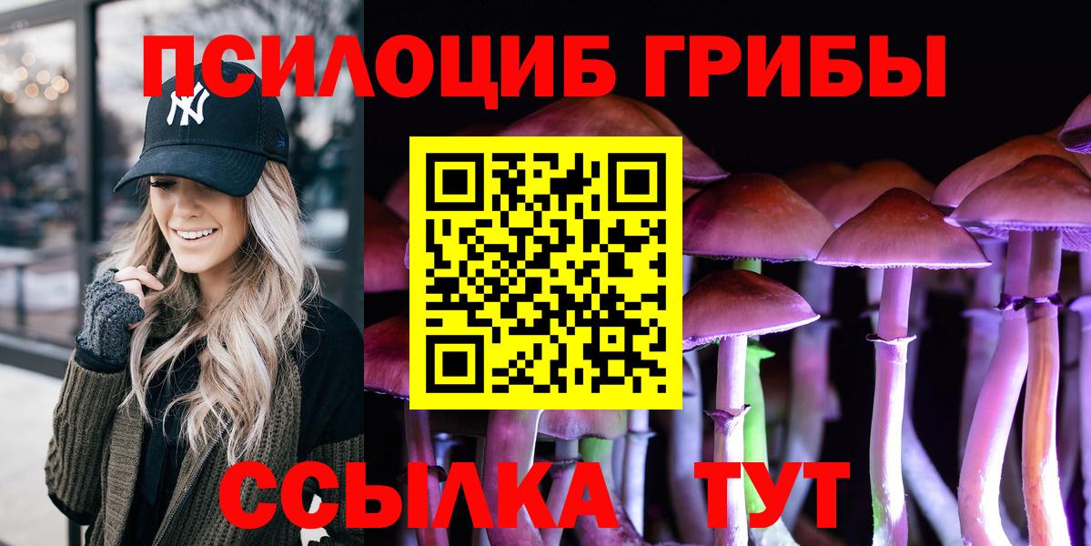 Псилоцибиновые грибы прущие грибы Волгоград
