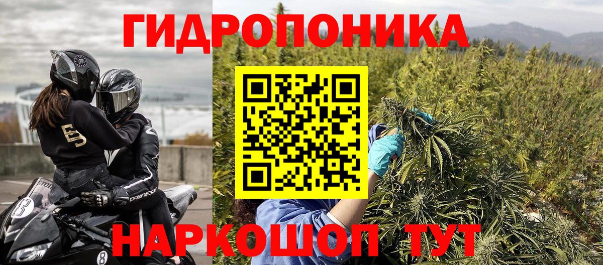 Бошки Шишки VHQ  Бошки Шишки AK-47  Бошки Шишки планчик  Вход с VPN  Волгоград 